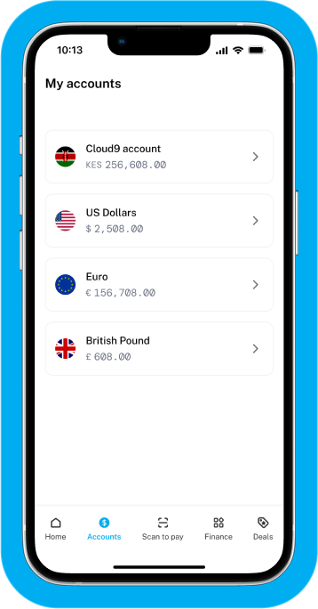Multi-Currency Accounts